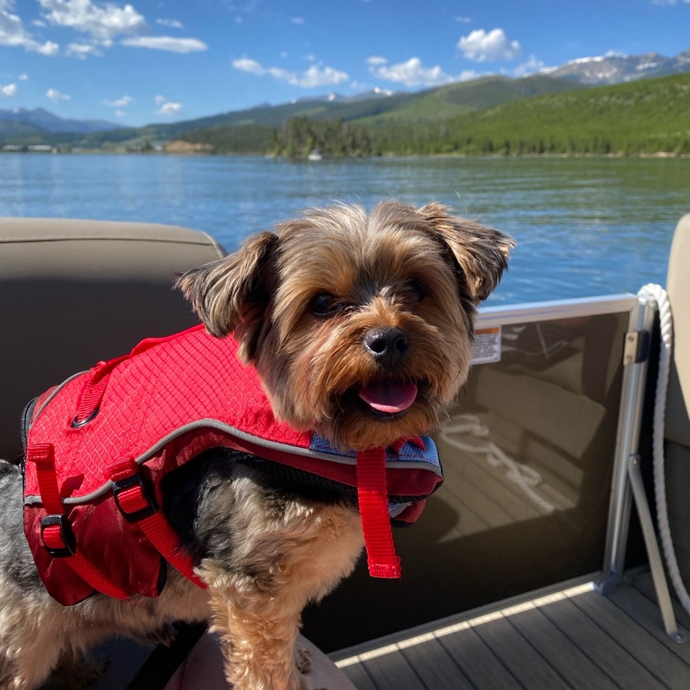 Meet your Posher, Miranda